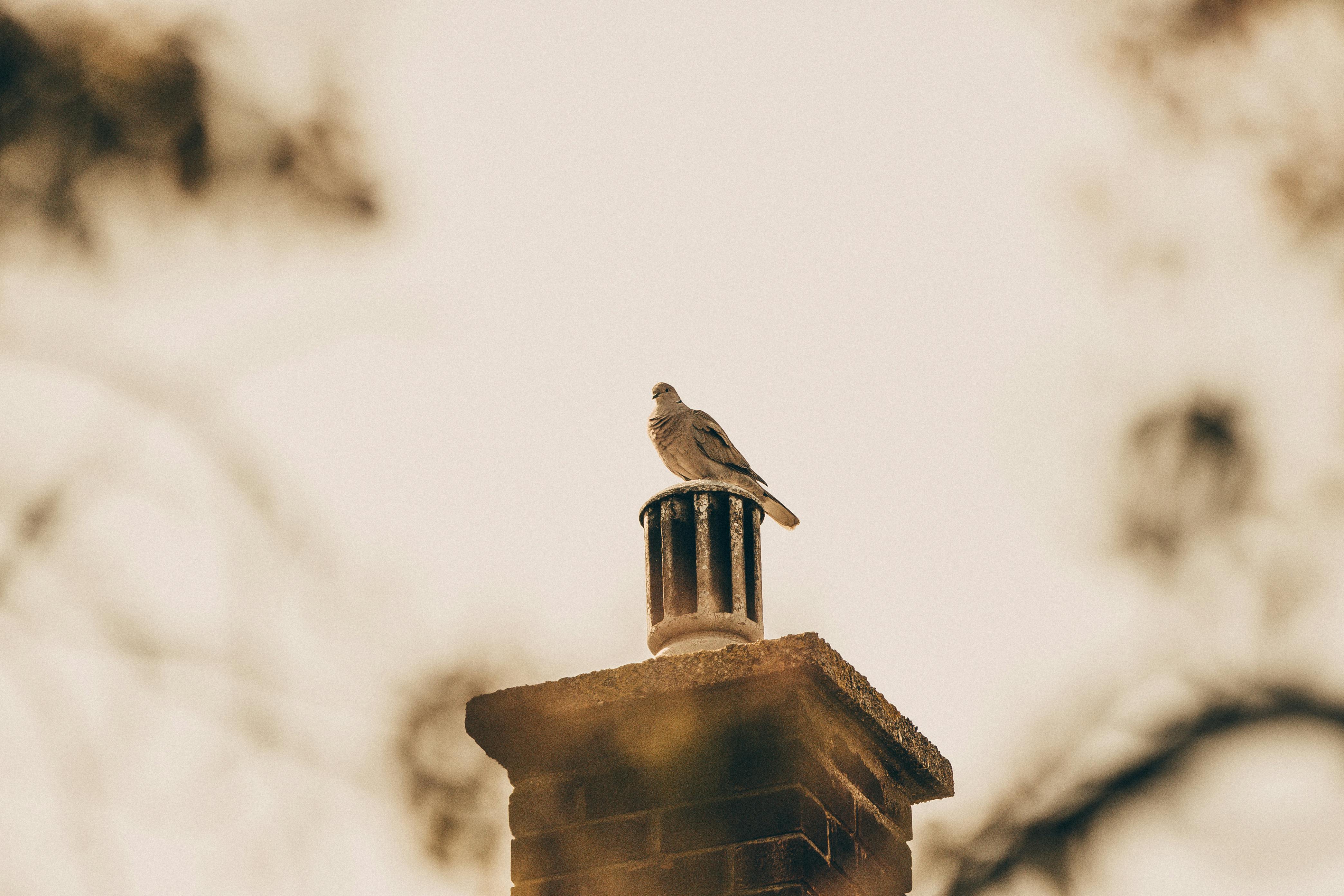 Professional Chimney Cap Installation Services in Miami, FL Expert Chimney Cap Installation in Miami, Florida